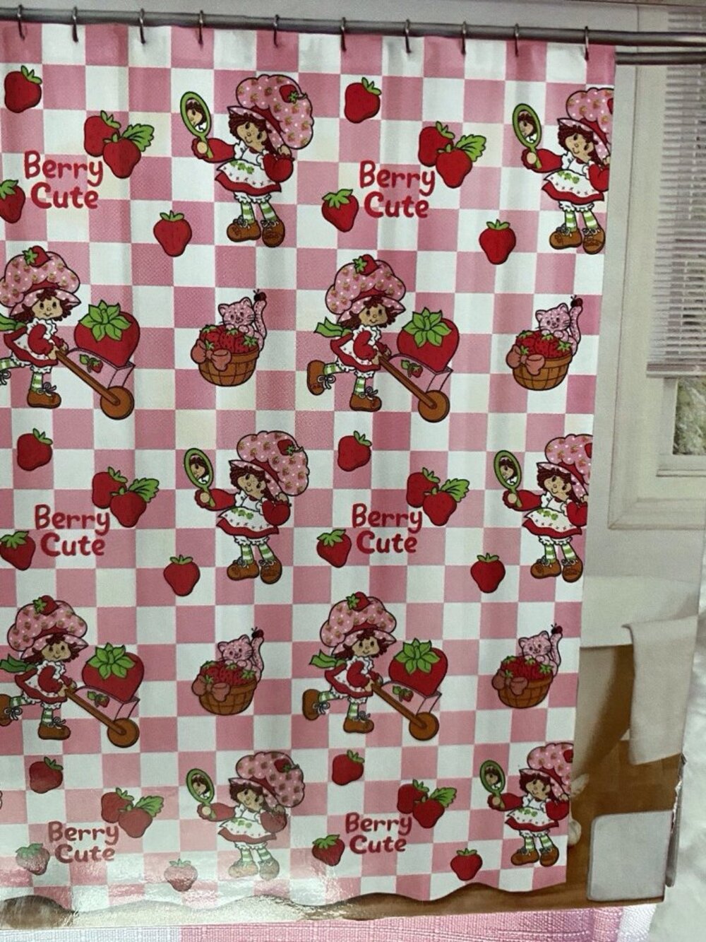 13 Piece Set Strawberry Shortcake Shower Curtain Set And Metal Hooks 72 X 72 NEW - Picture 9 of 13